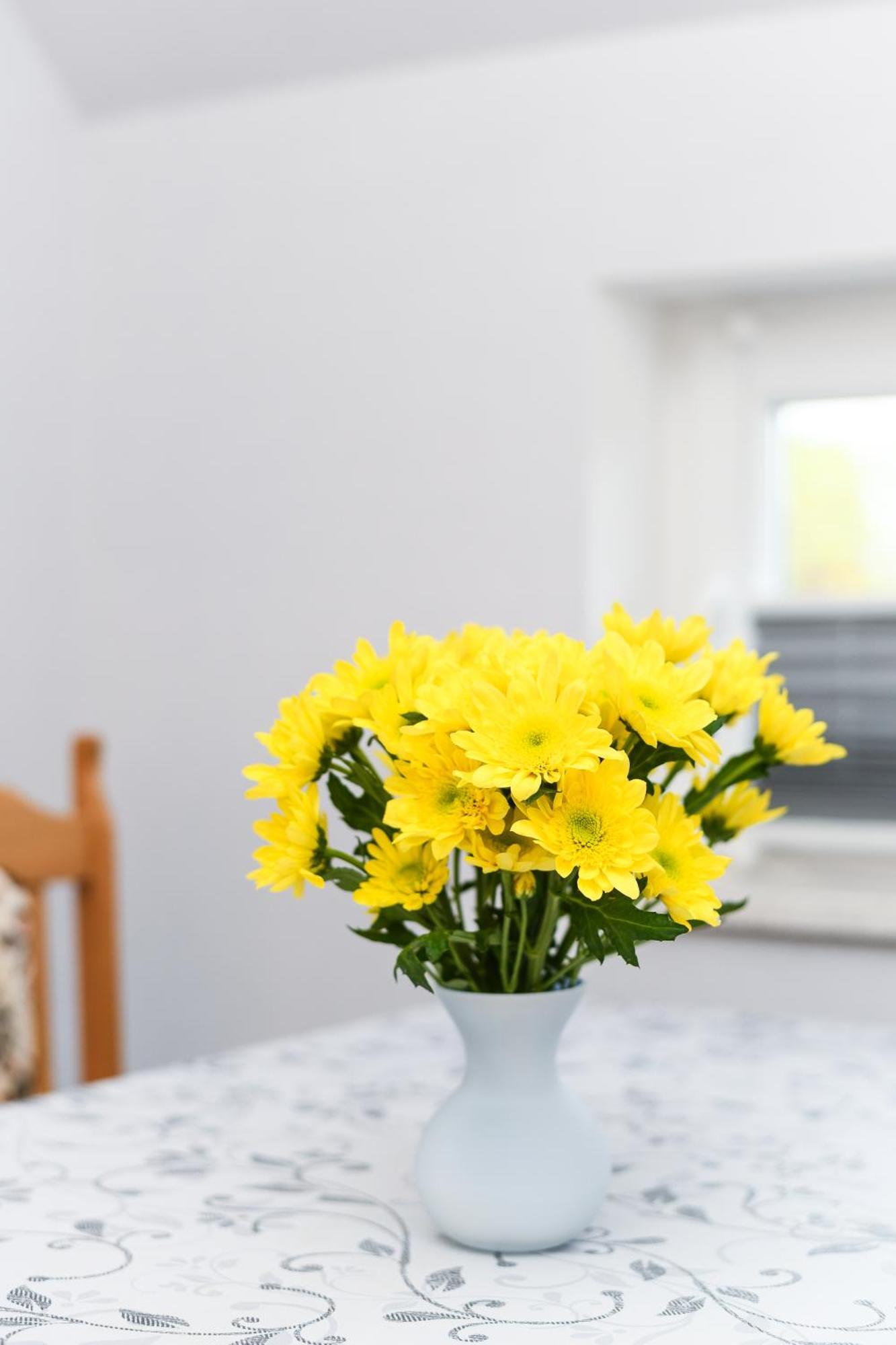 Ferienwohnung Nordmoor Blomberg  Exteriör bild